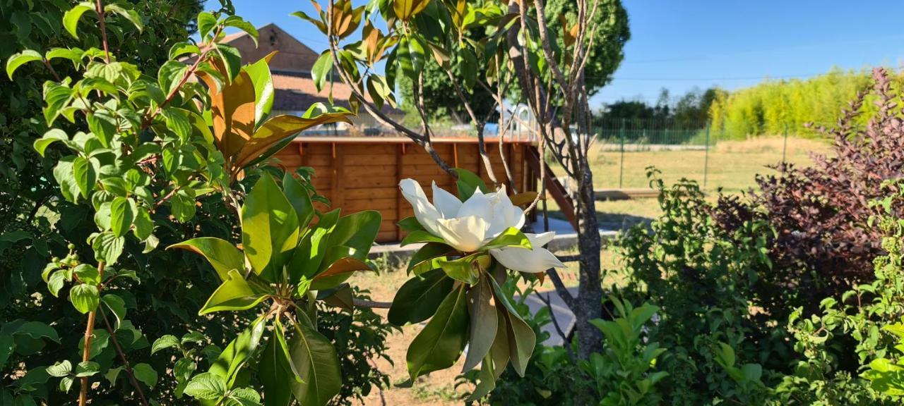 Mas Gabelys Superbe Vue Sainte Victoire Jardin Terrasse Et Piscine Apartment เตรส์ ภายนอก รูปภาพ
